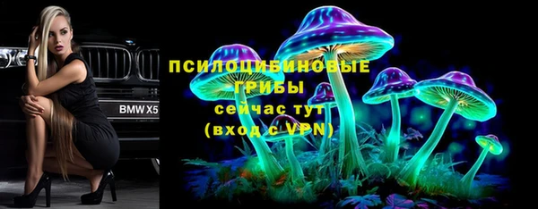стаф Аркадак