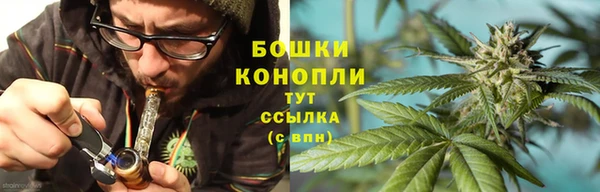 стаф Аркадак