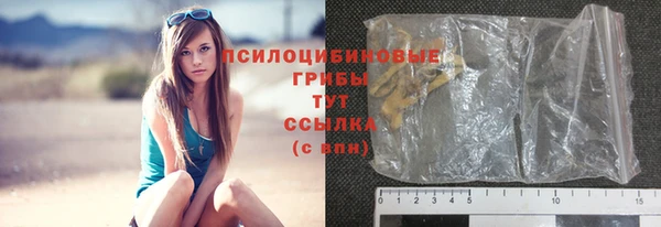 экстази Богородицк