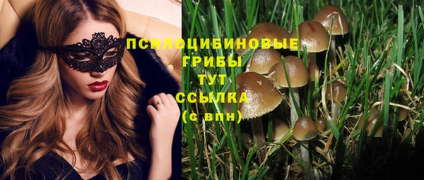 стаф Аркадак
