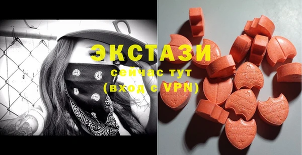 стаф Аркадак