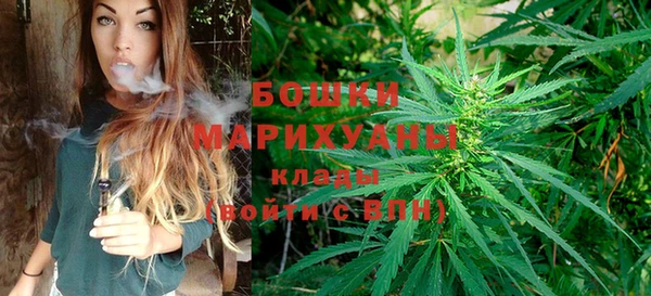 ешки Богородск