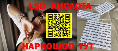 дживик Кандалакша