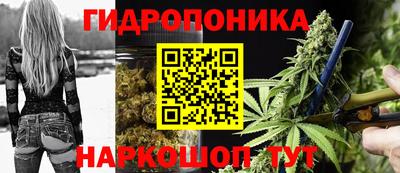 дживик Кандалакша