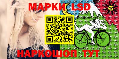 дживик Кандалакша
