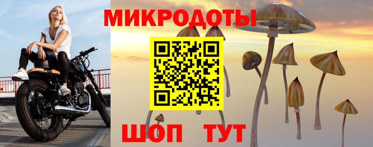 Псилоцибиновые грибы Magic Shrooms  Псилоцибиновые грибы GOLDEN TEACHER  купить наркотики сайты  Вход с VPN  Ступино 